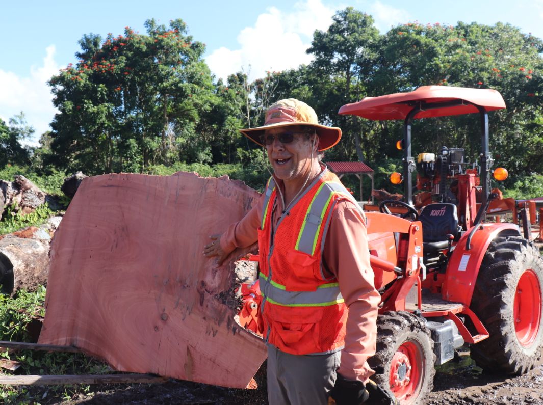 Logs from tree removal at Roosevelt Bridge Project site being prepared for repurposing by Puerto Rico Hardwoods Inc.